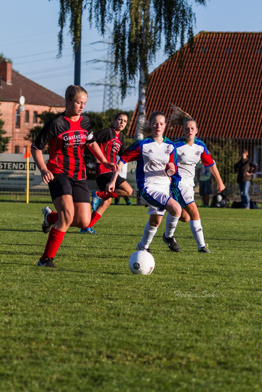 Bild 199 - B-Juniorinnen SG Wilstermarsch - SV Henstedt Ulzburg : Ergebnis: 5:1